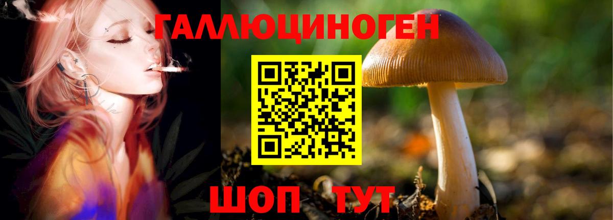 Каспийск  Галлюциногенные грибы GOLDEN TEACHER  Вход с VPN 